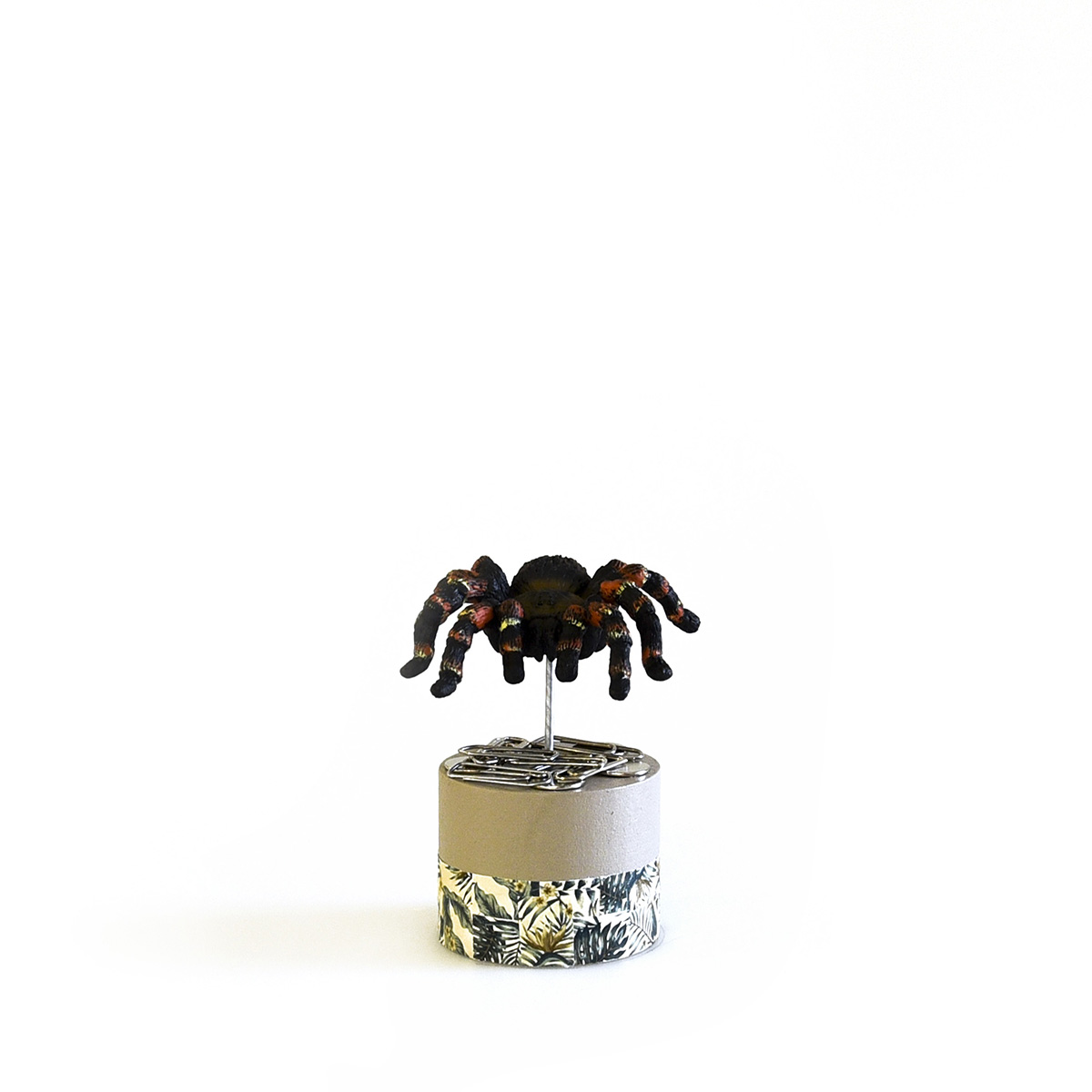 Büroklammer Halter «Vogelspinne»