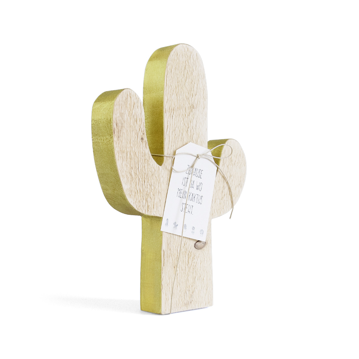 Kaktus gross – Bild 4